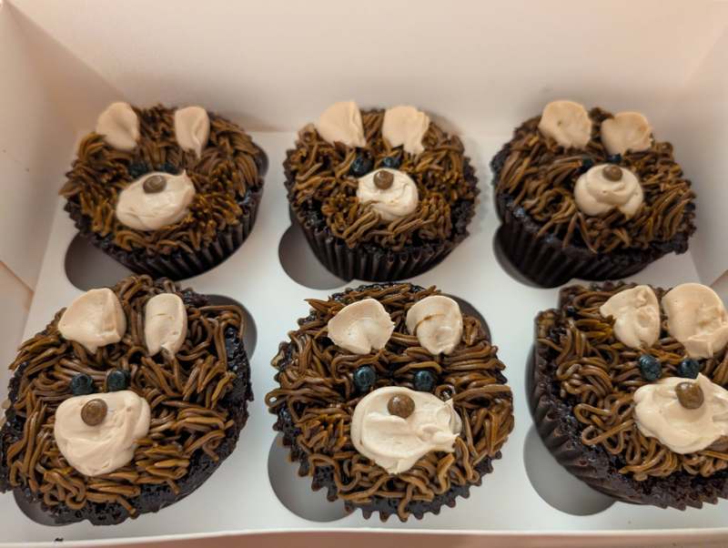 Cupcakes decorated as cuddly bears with buttercream ears and chocolate features
