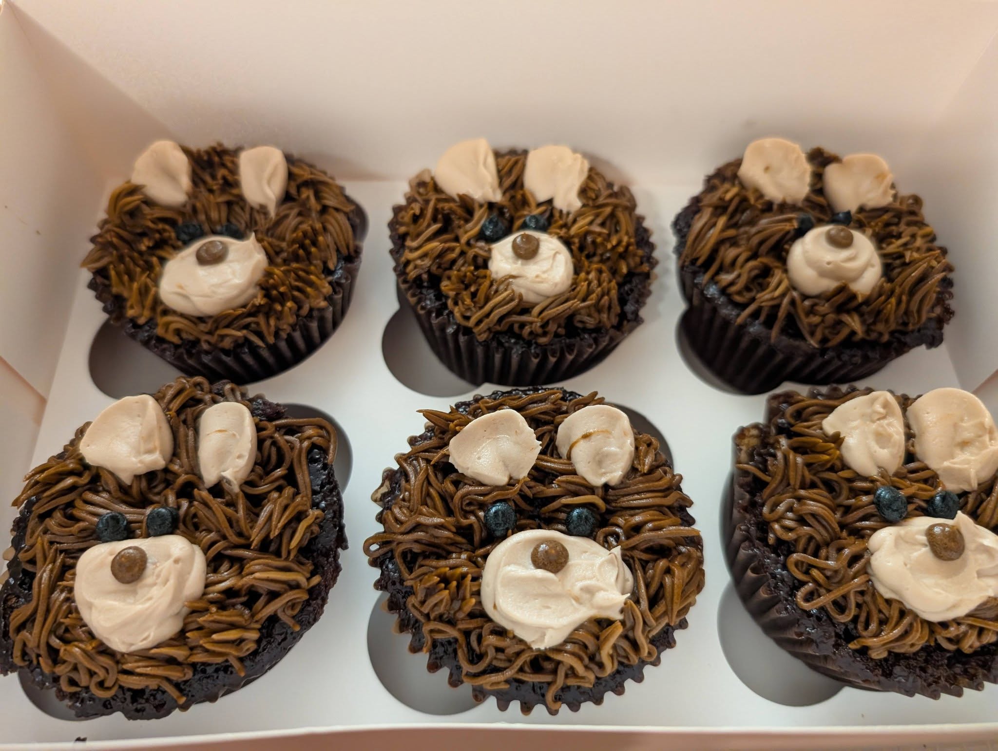 Seasonal bear cupcakes