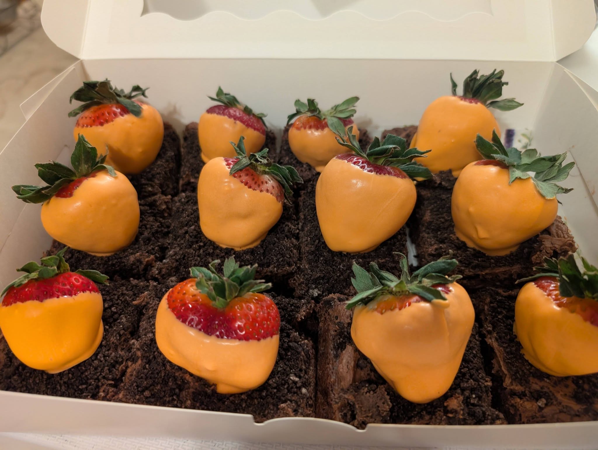 Chocolate dipped strawberries